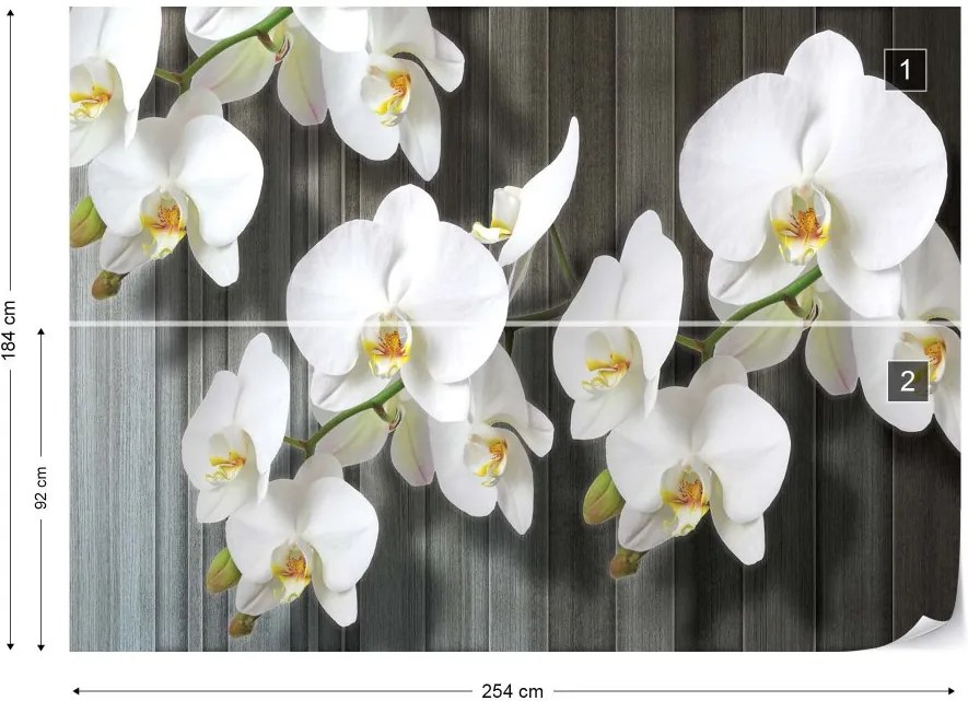 Fototapeta GLIX - Flowers White Orchids  + lepidlo ZADARMO Vliesová tapeta  - 254x184 cm