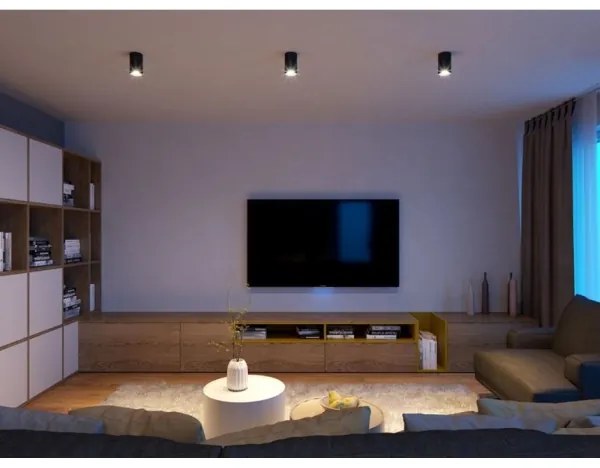 LED2 - LED Stropné svietidlo TUBUS LED/9W/230V čierna