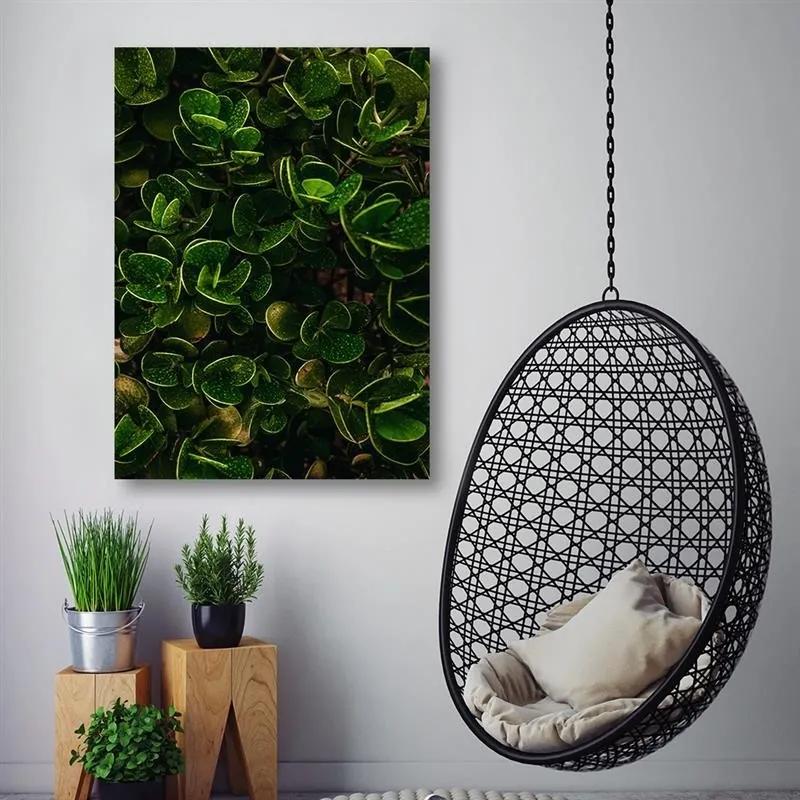 Obraz na plátně Exotické zelené listy - 70x100 cm