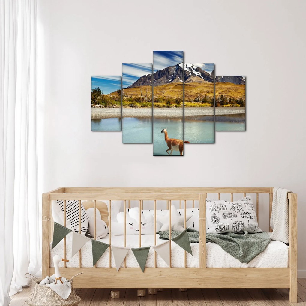 Obraz - Národný park Torres del Paine (150x105 cm)