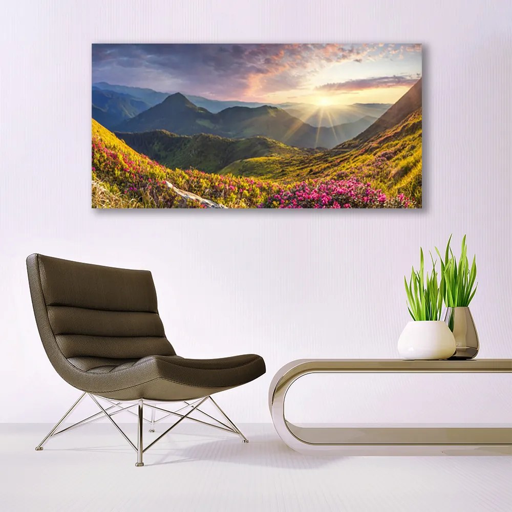 Obraz plexi Hora lúka slnko krajina 120x60 cm