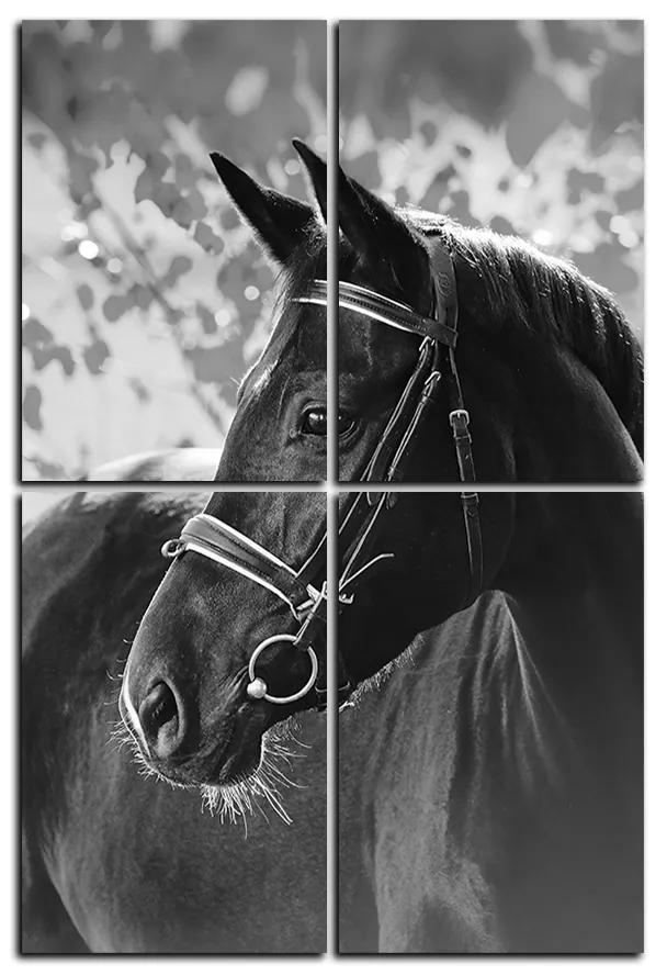 Obraz na plátne - Čierny kôň - obdĺžnik 7220QE (90x60 cm)