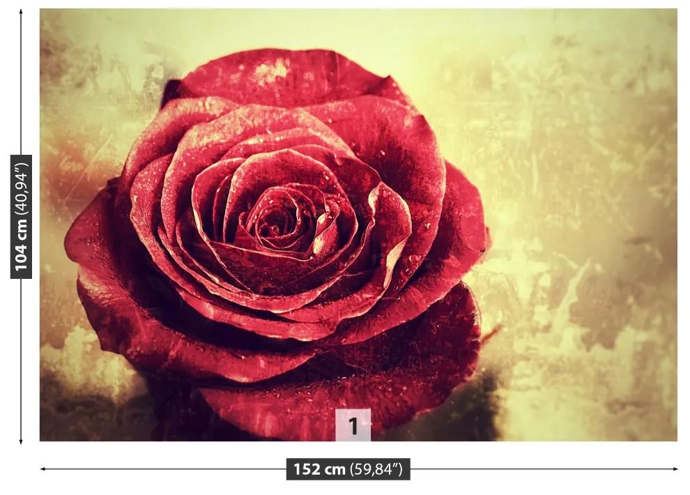 Fototapeta Vliesová Červená ruža 152x104 cm