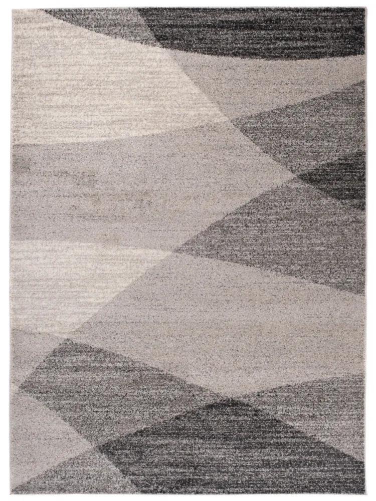 Kusový koberec Ever sivý, Velikosti 120x170cm