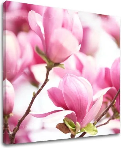 Obraz na stenu KVETY KV002E12 - 90x90 cm