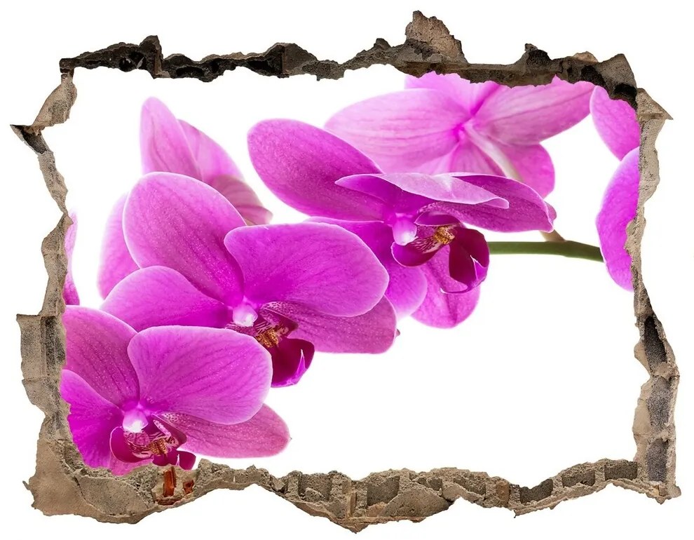 Samolepící díra nálepka Ružová orchidea nd-k-67691978