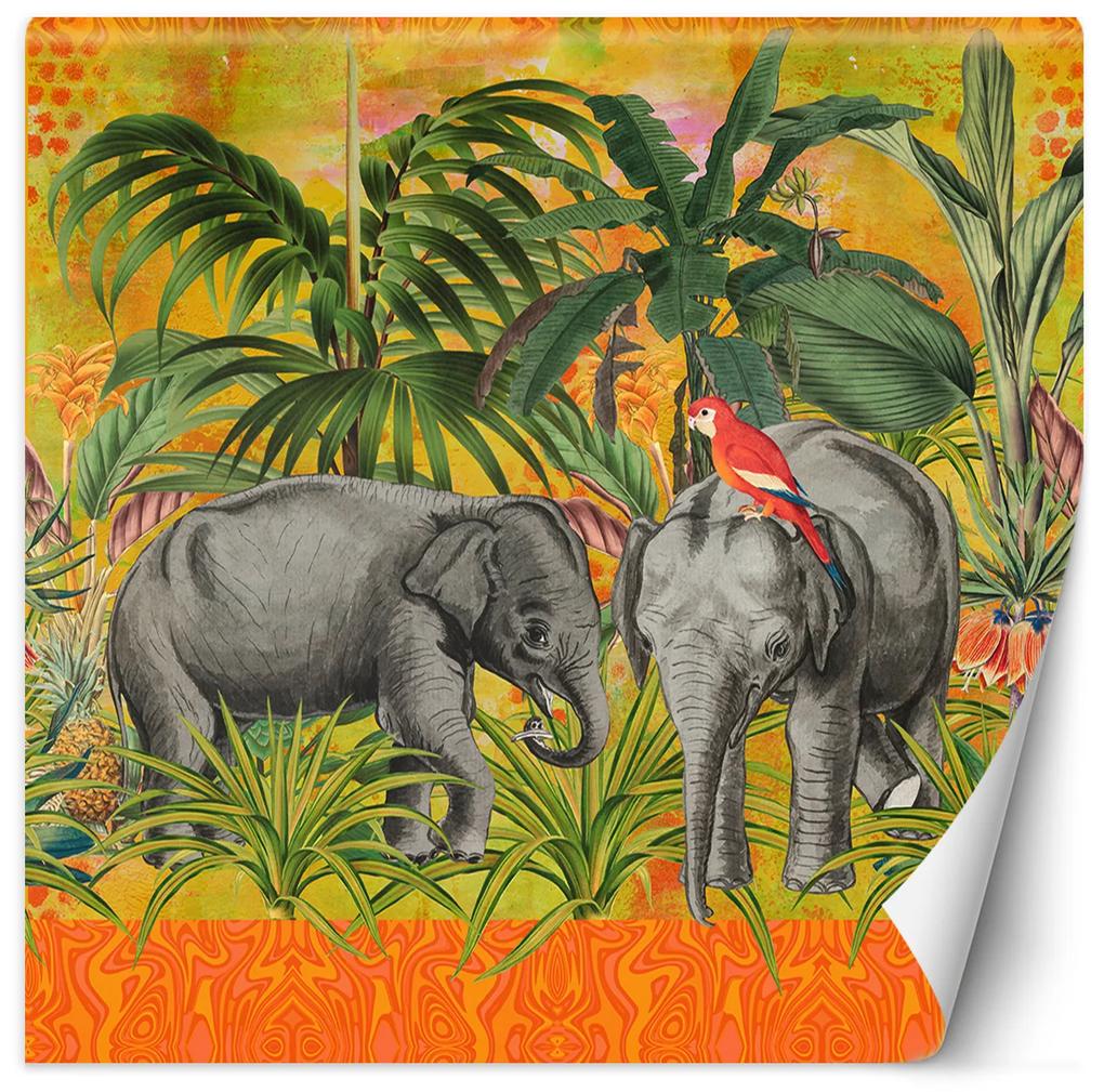 Gario Fototapeta Oranžové abstraktné zvieratá slony - Andrea Haase Materiál: Vliesová, Rozmery: 100 x 100 cm