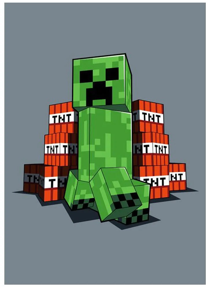 DETSKÁ FLEECOVÁ DEKA MINECRAFT CREEPER 100X150 CM VZOROVANÁ