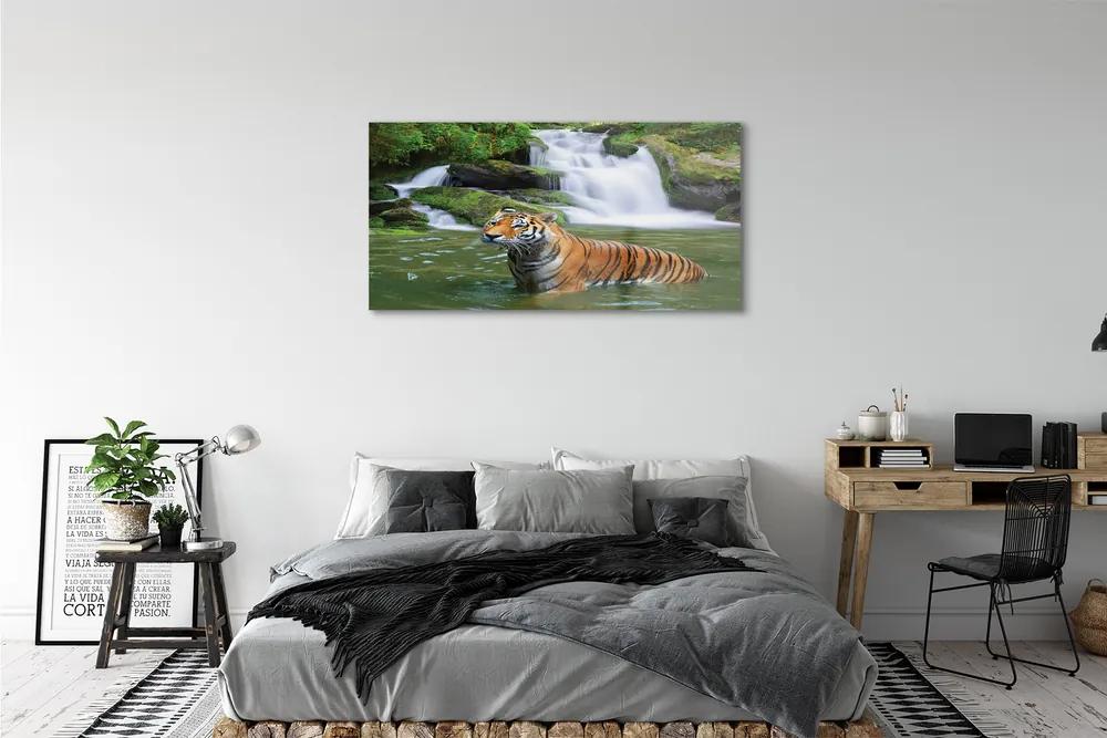 Obraz na akrylátovom skle Tiger vodopád 125x50 cm
