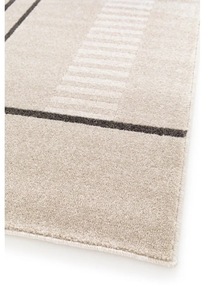 Béžový koberec 120x170 cm Domus – Universal