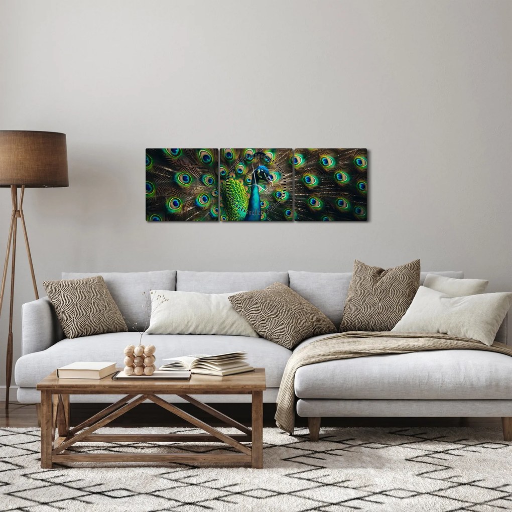 Obraz – Páv (s hodinami) (90x30 cm)