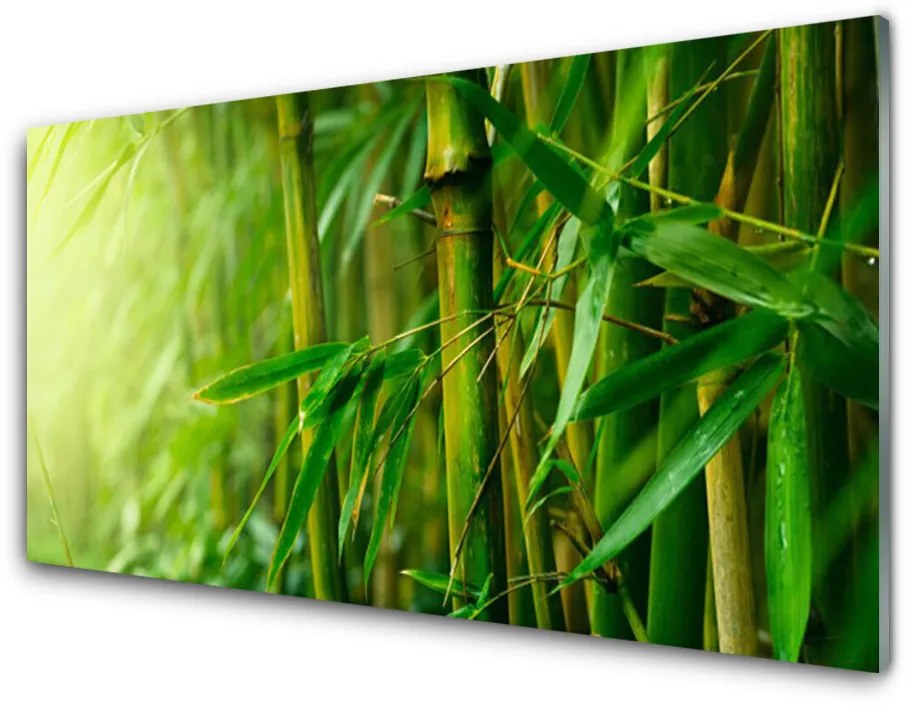 Nástenný panel  Bambus stonky rastlina 100x50 cm