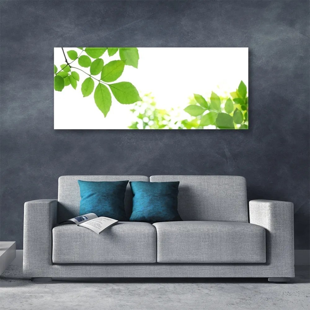 Obraz plexi Plátky rastlina príroda 125x50 cm