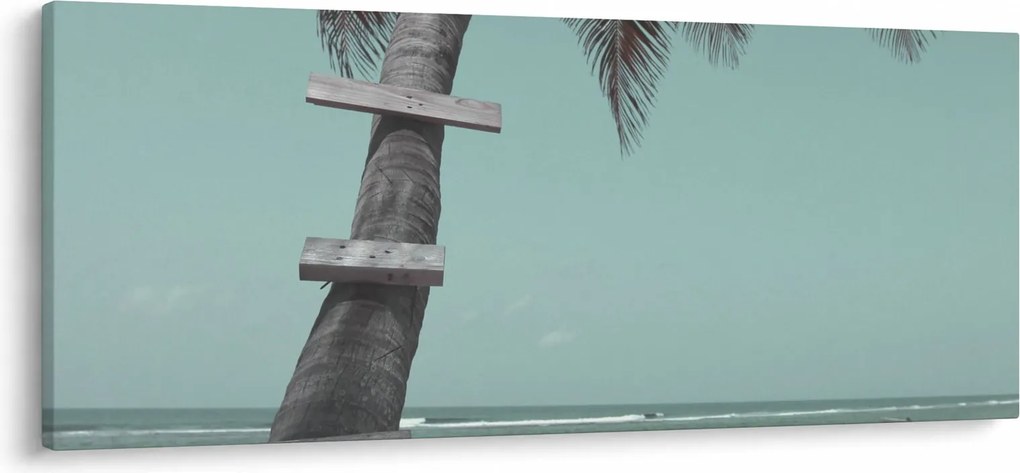 Obraz - Palma v Karibiku (120x50 cm)