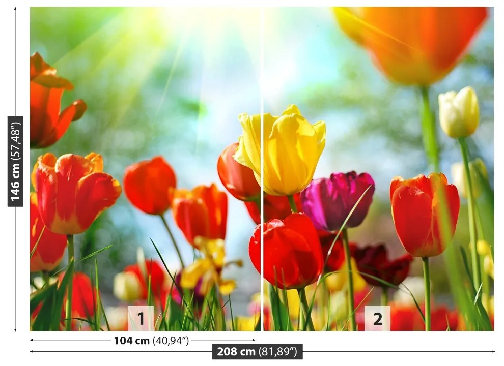 Fototapeta Vliesová Kvety tulipánov 104x70 cm