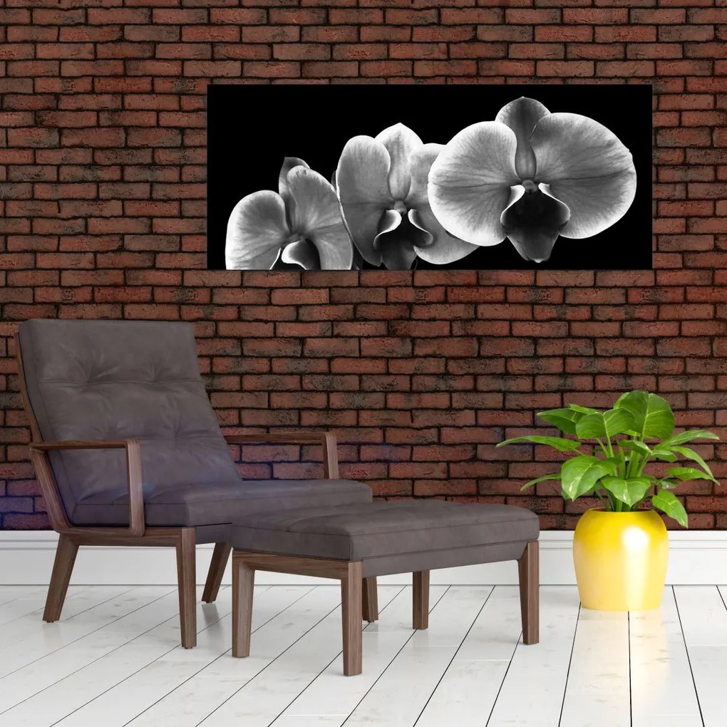 Obraz kvetu orchidey (120x50 cm)