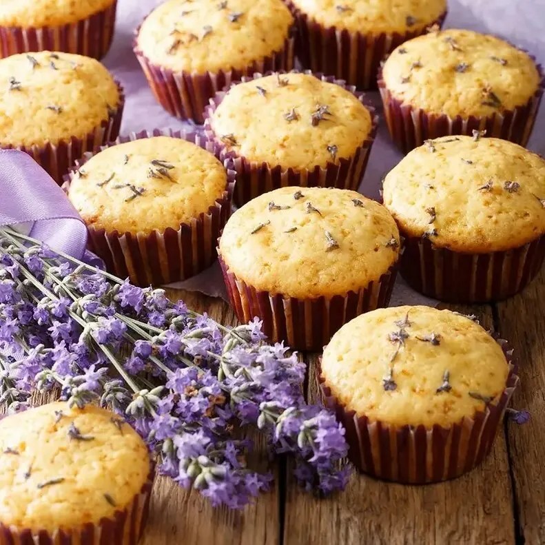 Orion Forma na 24 muffinov Grande 42 x 26 cm