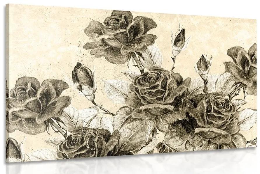 Obraz vintage kytica ruží v sépiovom prevedení - 60x40