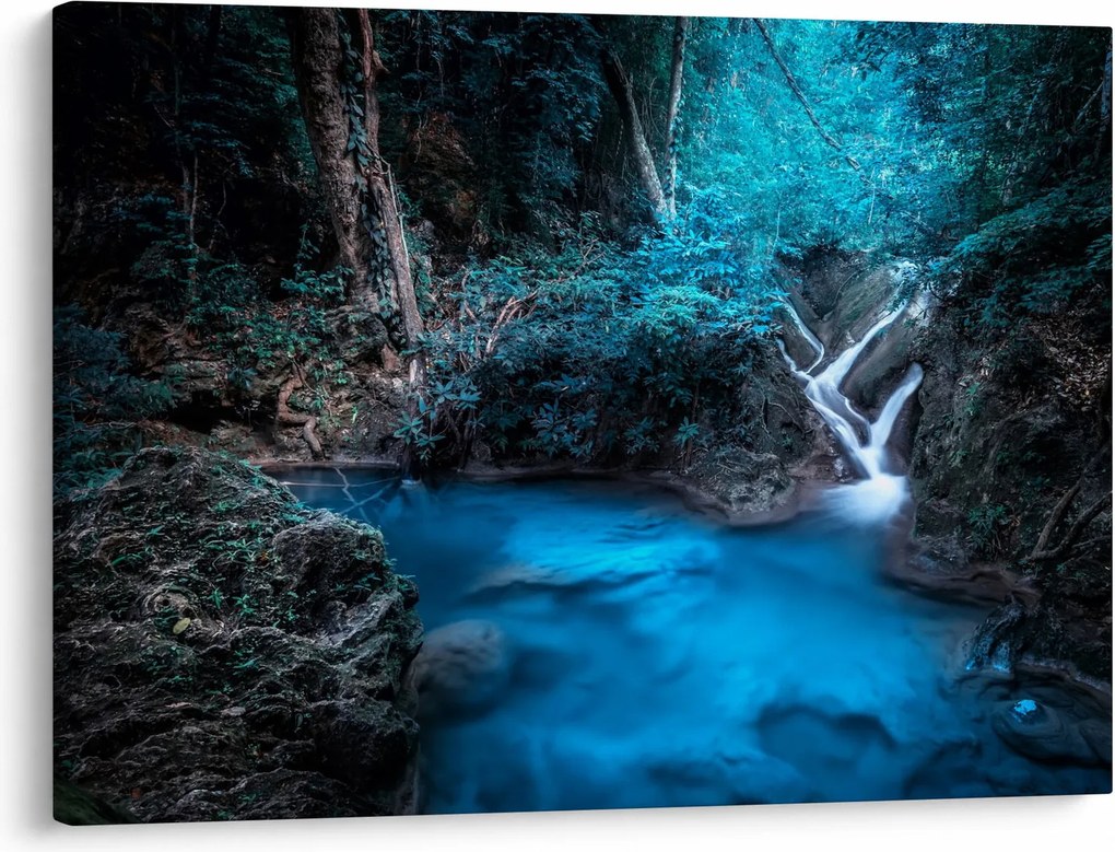 Obraz - Magická noc v tropickom lese (70x50 cm)