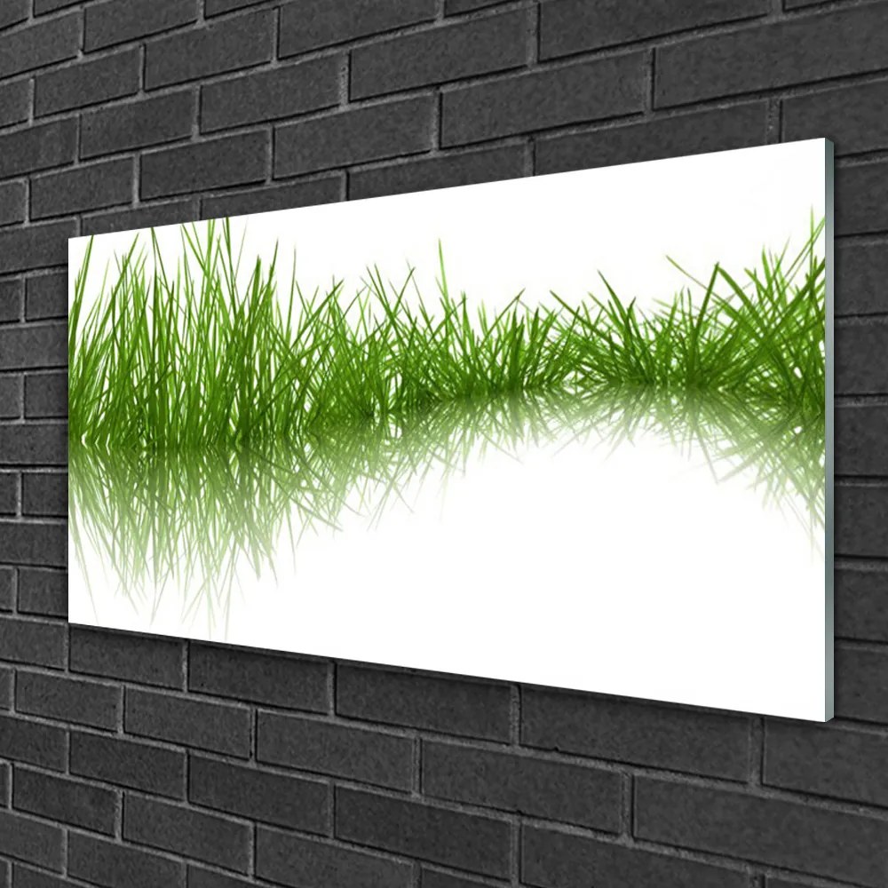 Skleneny obraz Tráva príroda rastlina 140x70 cm