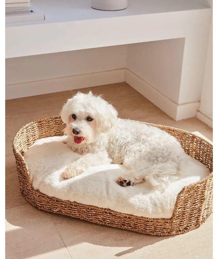 Biely pelech pre domáceho miláčika 40x60 cm Codie – Kave Home