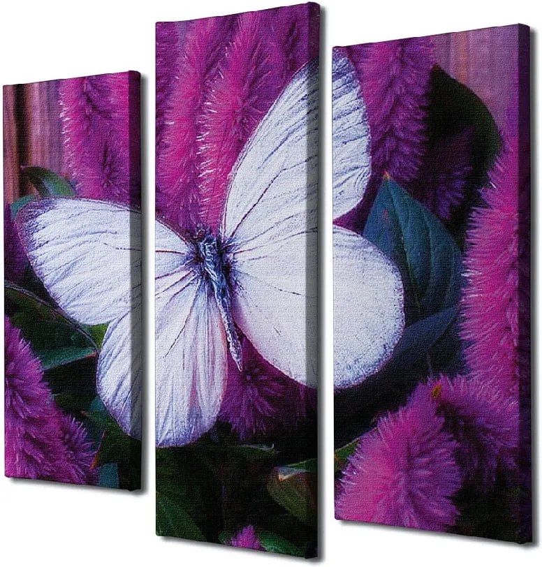 3-dielny nástenný obraz na plátne Butterfly