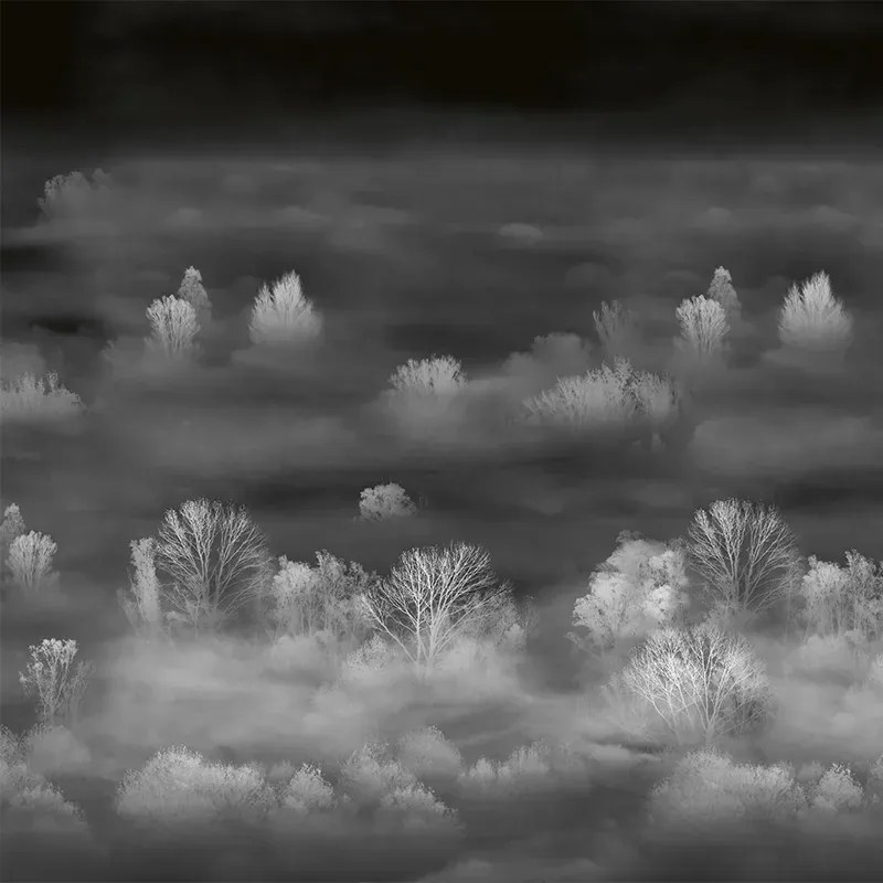 VLADILA Foggy Landscape Nightview - tapeta