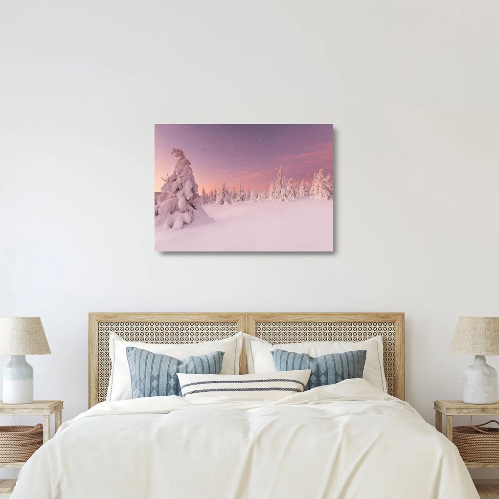 Sklenený obraz - Stromy pod snehovou prikrývkou (70x50 cm)