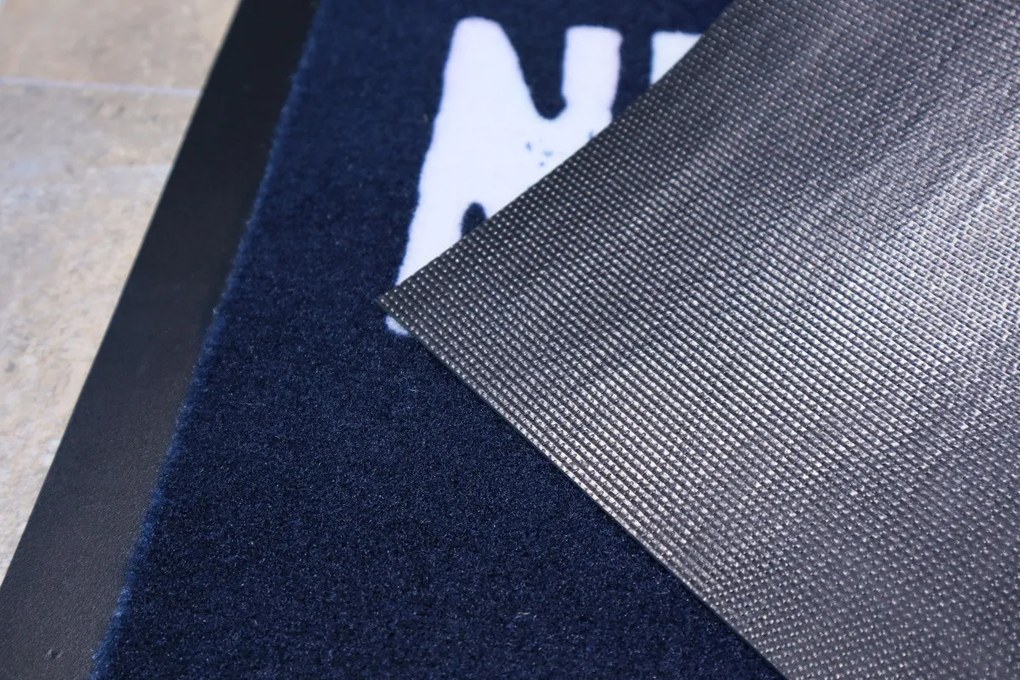 Mercury Flooring, Rohožka Nepokradneš 40x60 cm, 40x60, modrá