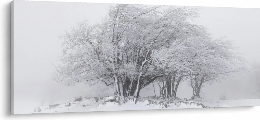 Obraz - Biela zima (120x50 cm)