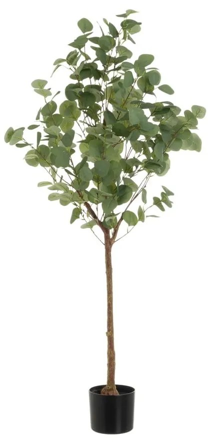 Umelý kvet Eucalyptus – Casa Selección