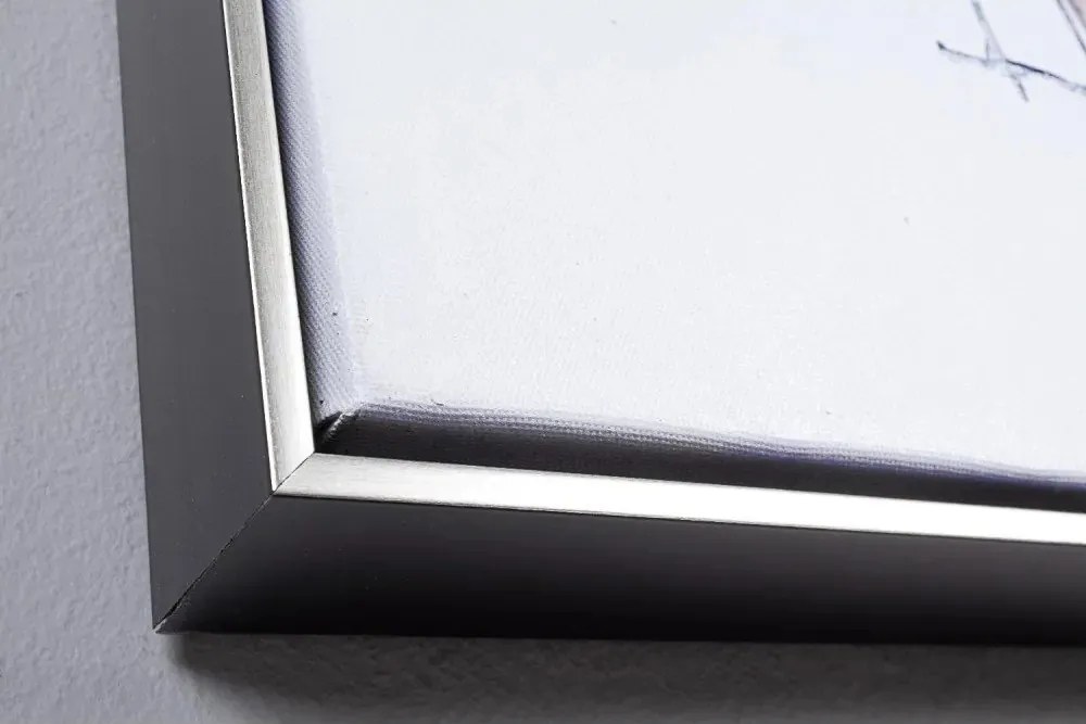 Obraz s rámom/na plátne 82,5x122,5 cm Crown – Bizzotto