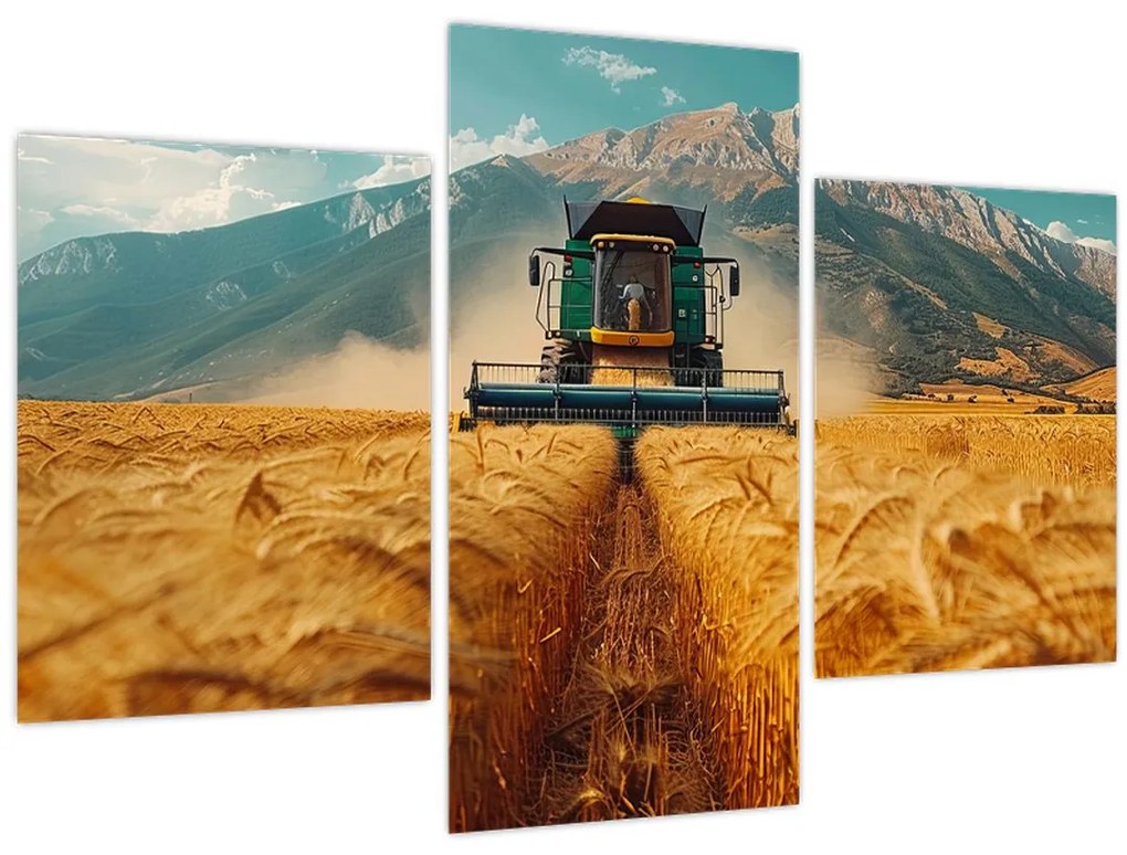 Obraz - Poľnohospodár (90x60 cm)