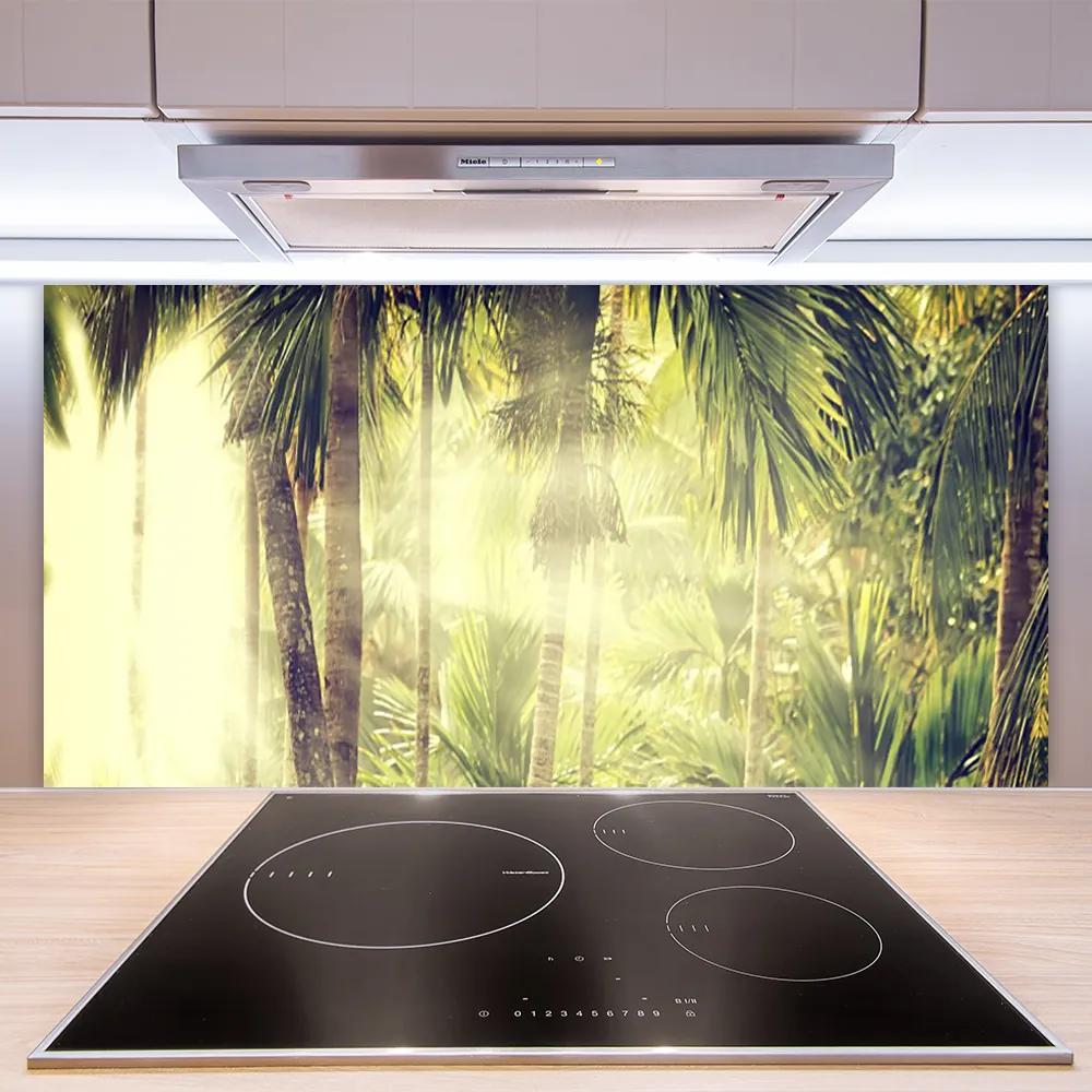 Sklenený obklad Do kuchyne Les palmy stromy príroda 125x50 cm
