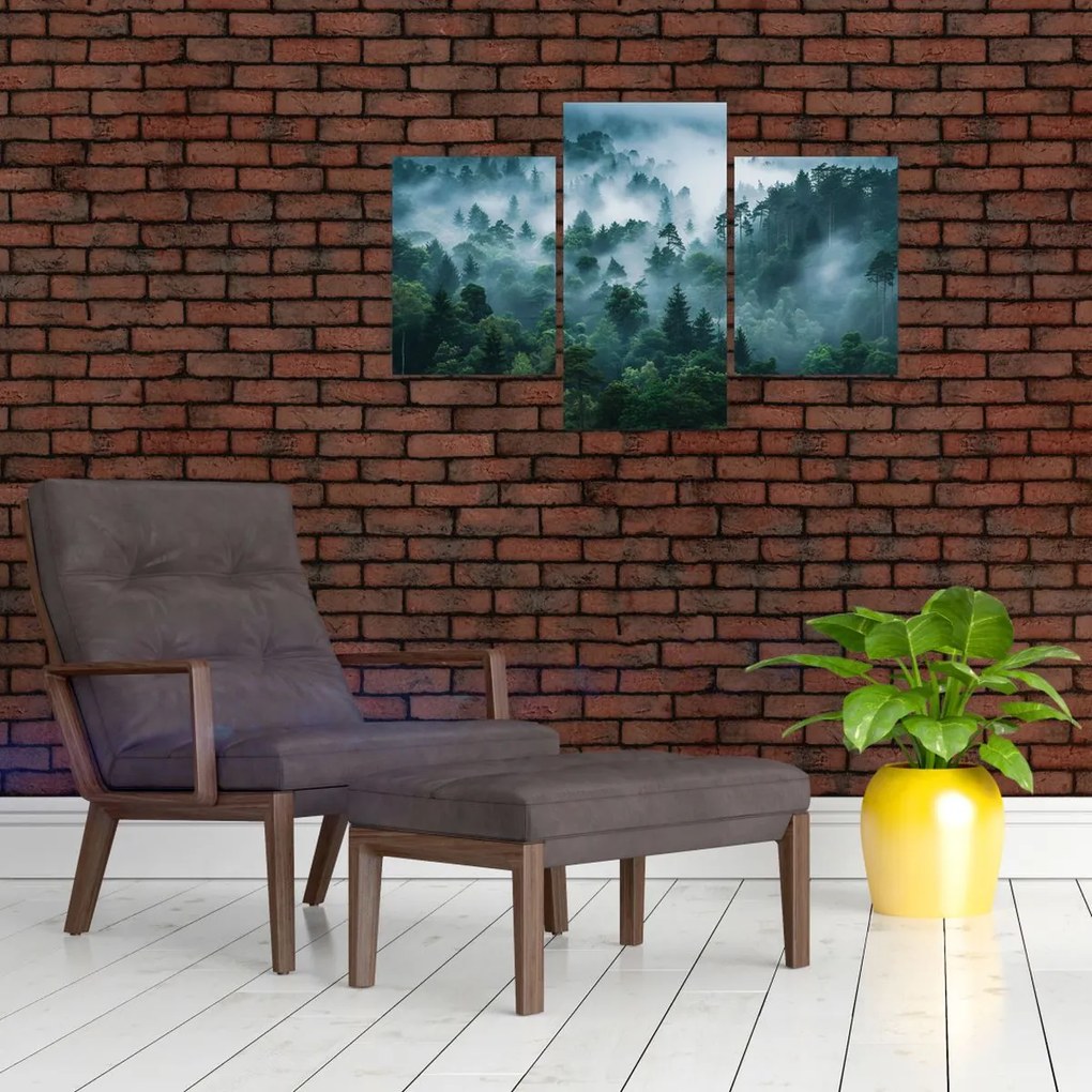 Obraz - Les v hmle (90x60 cm)