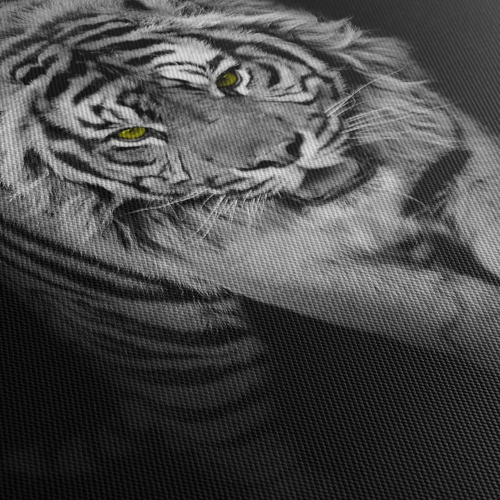 Obraz - Tiger so žltými očami (90x60 cm)