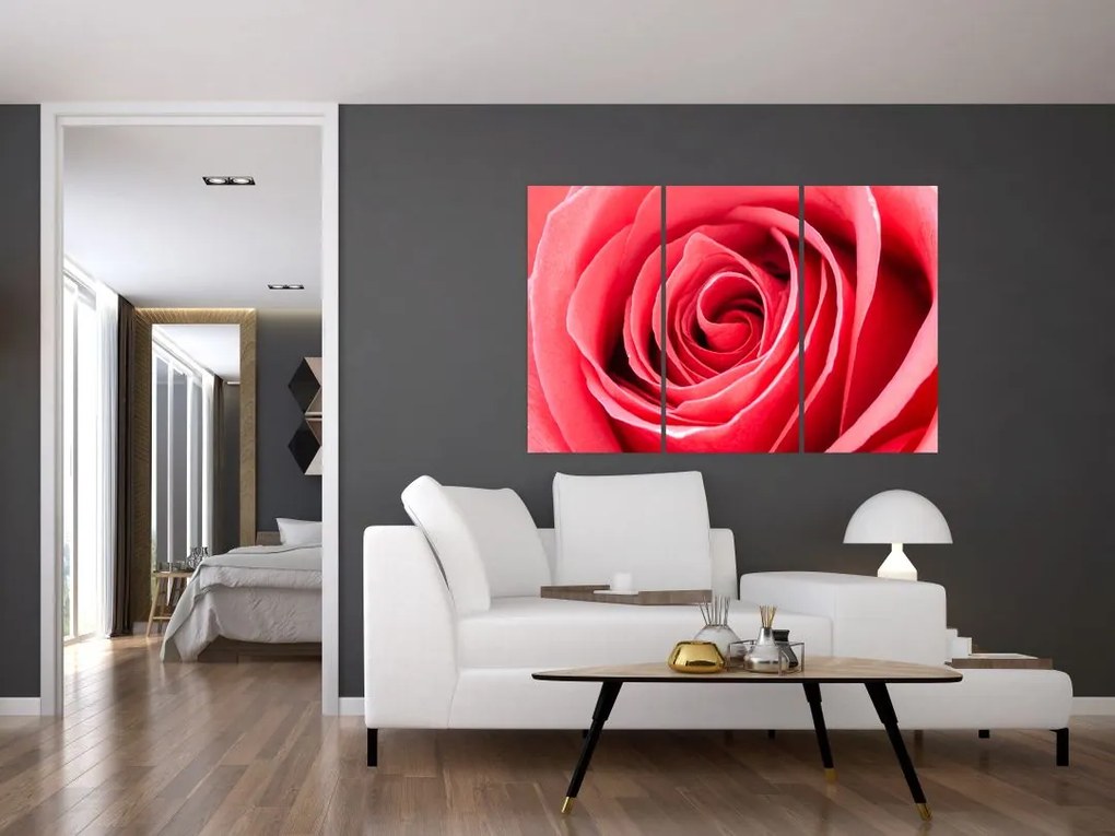 Obraz červené ruže