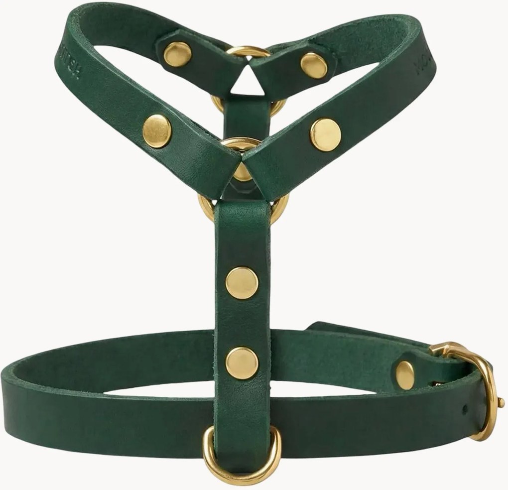 Kožený postroj pre psa Y-Harness, rôzne veľkosti