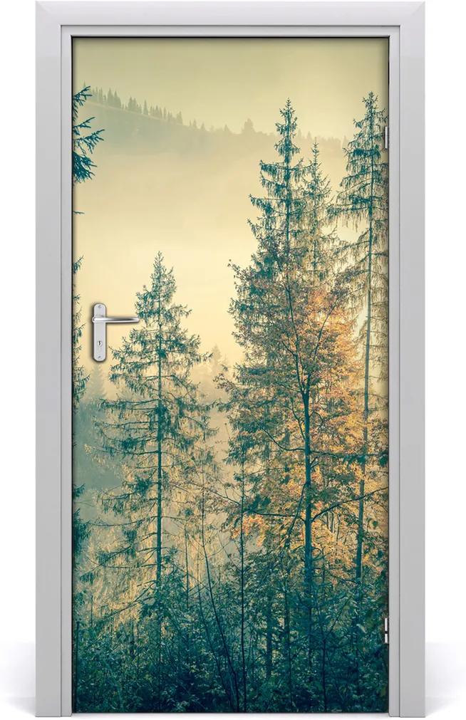 Fototapeta na dvere  hmla nad lesom