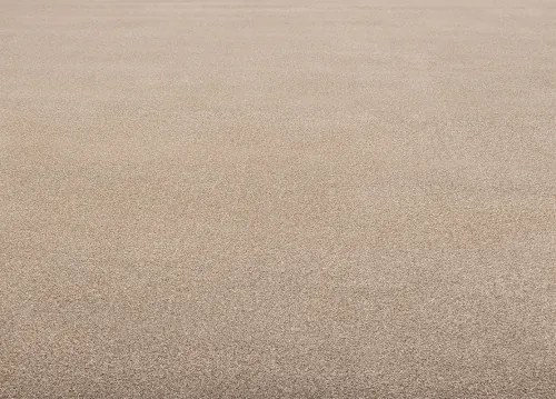 Koberce Breno Metrážny koberec WINCHESTER 90, šíře role 400 cm, hnedá