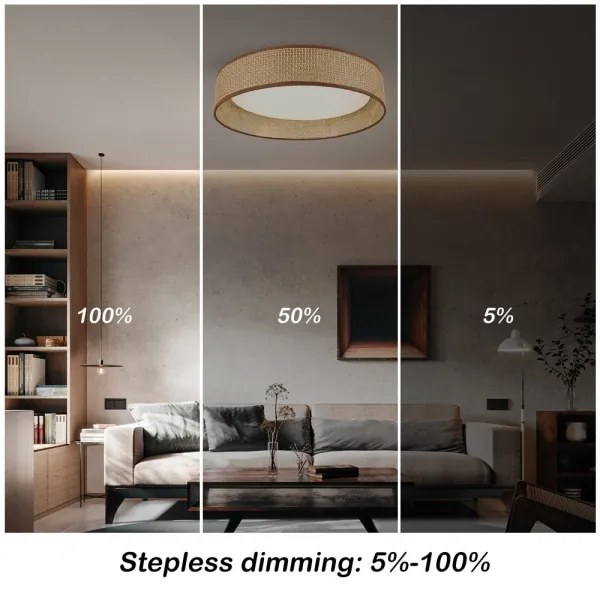 Immax NEO 07288L - LED+CCT stmievateľné stropné svietidlo LONA 36W/230V pr. 45,5 cm+ DO