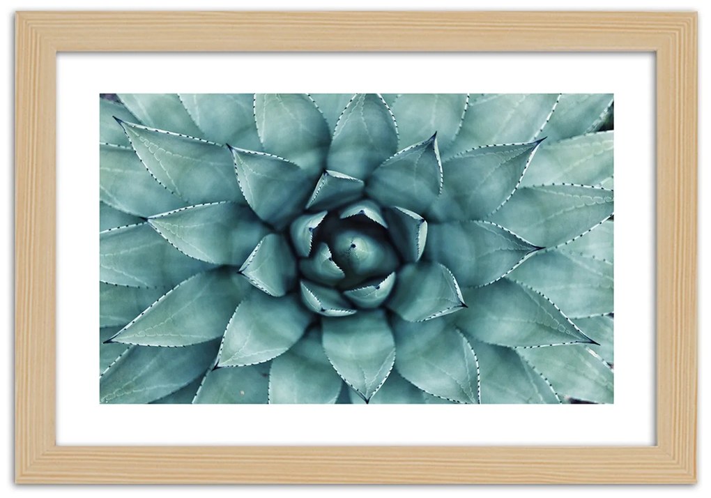 Gario Plagát Modré listy agáve Farba rámu: Bez rámu, Rozmery: 45 x 30 cm