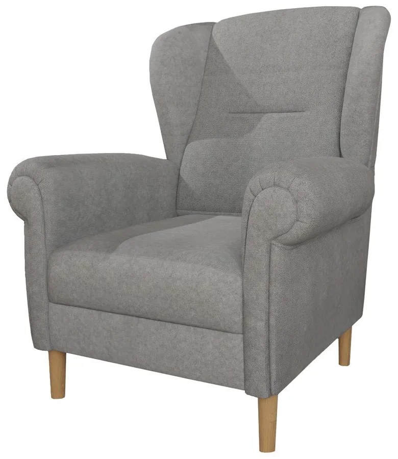 Svetlosivé kreslo ušiak Swan – Ropez