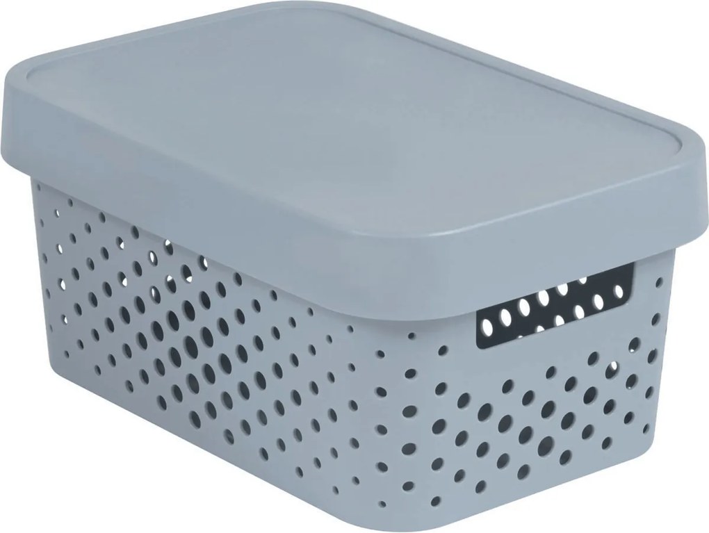 Curver Úložná krabica INFINITY S 4,5 l