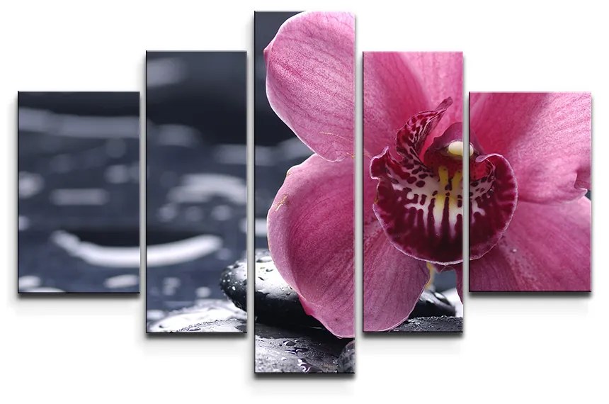 Sablio Obraz - 5-dílný Orchidea - 125x90 cm
