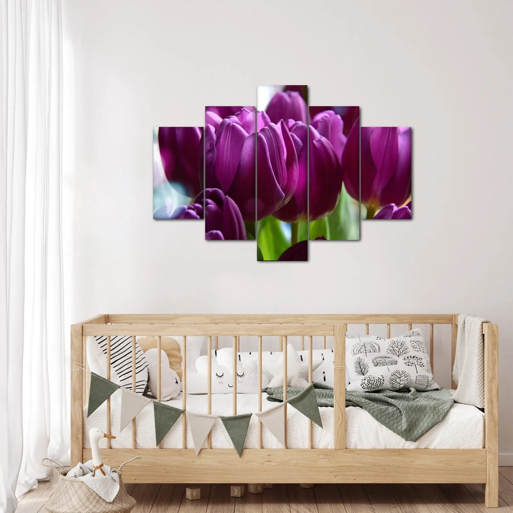 Obraz tulipánov (150x105 cm)