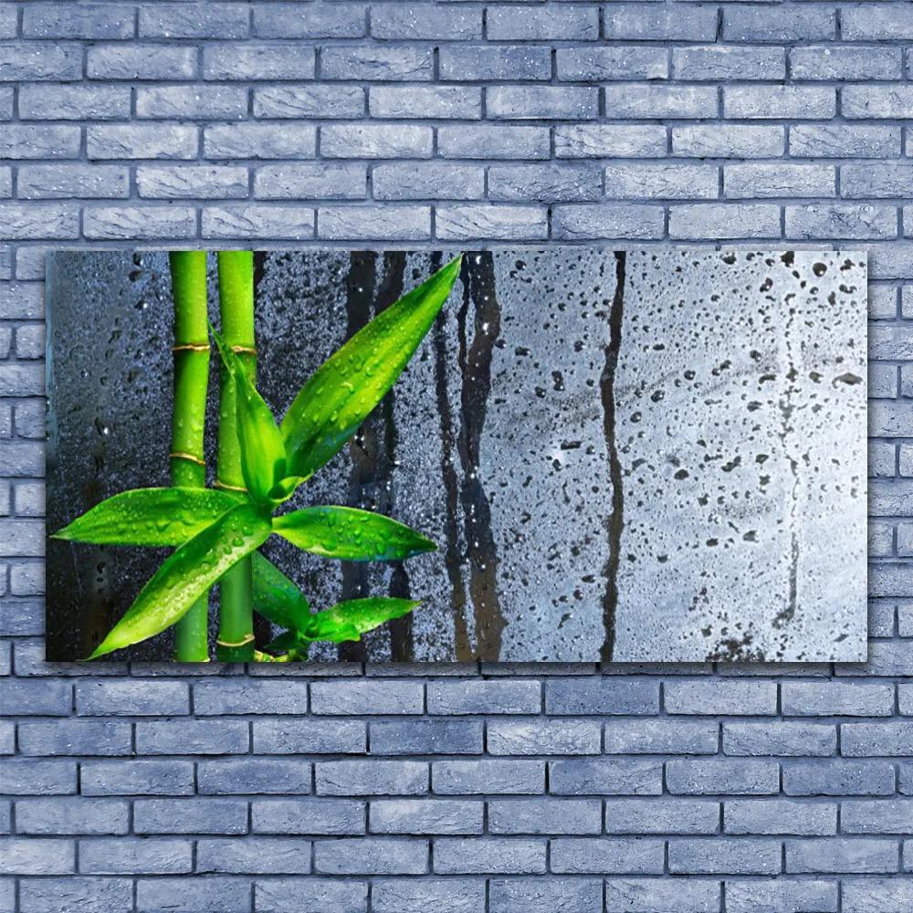 Obraz plexi Bambus list rastlina príroda 120x60 cm