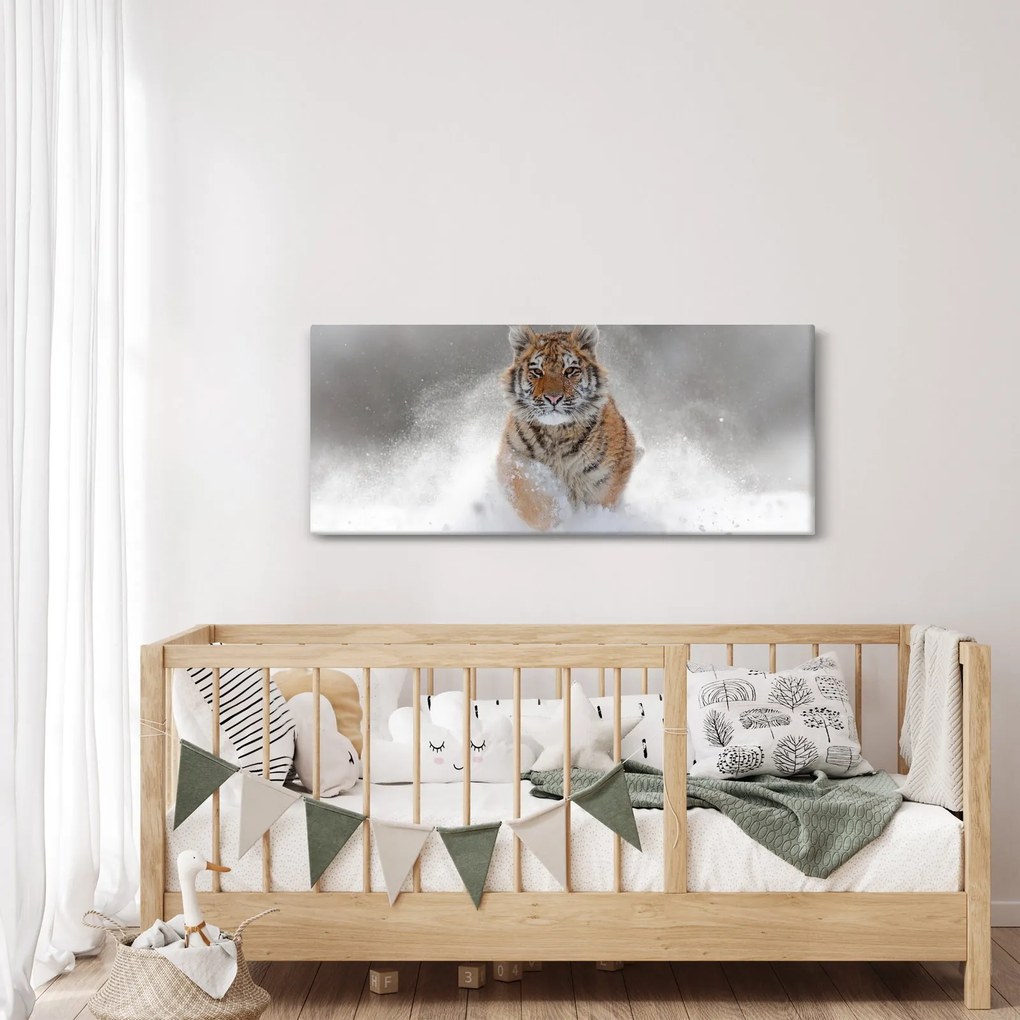 Obraz bežiaceho tigra v snehu (120x50 cm)