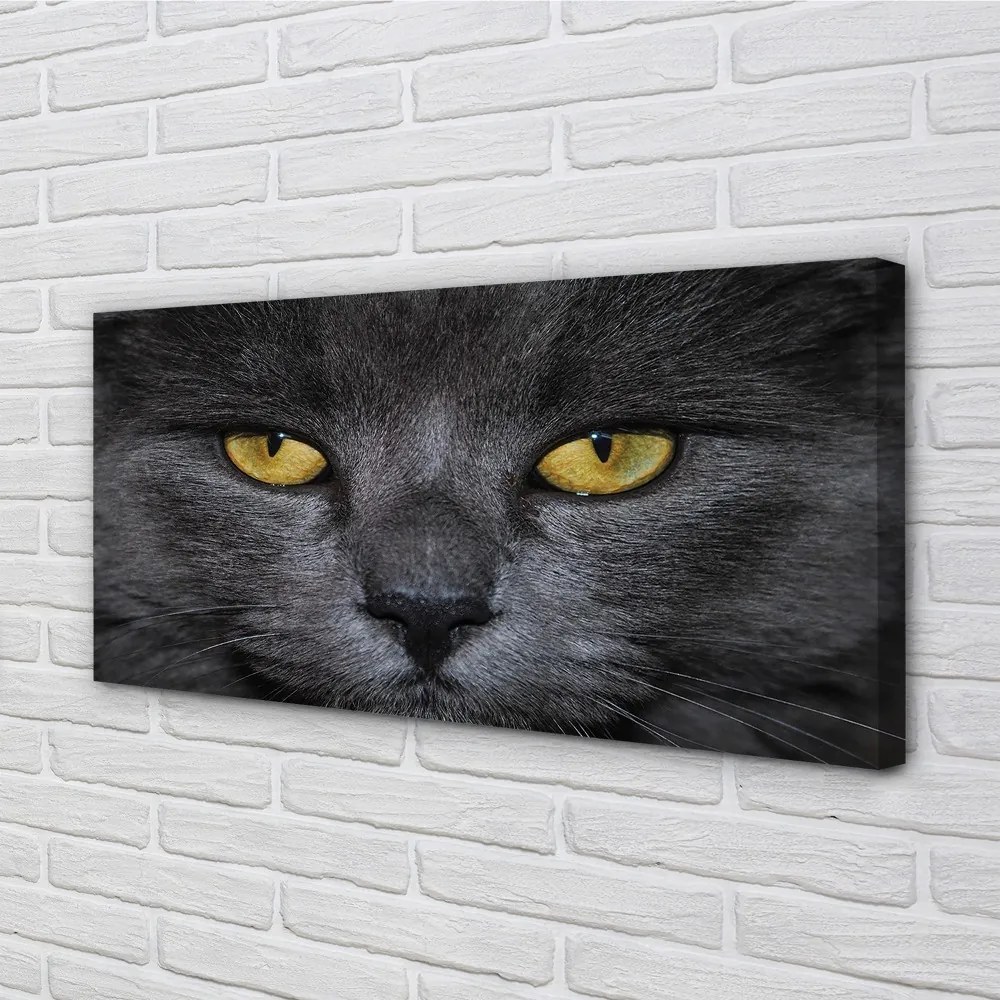 Obraz na plátne Čierna mačka 120x60 cm