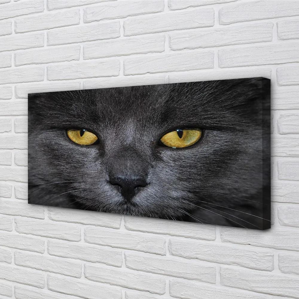 Obraz na plátne Čierna mačka 125x50 cm